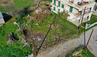 Οικόπεδο 293 τ.μ. για πώληση, Αργολίδα, Κρανίδι-thumb-3