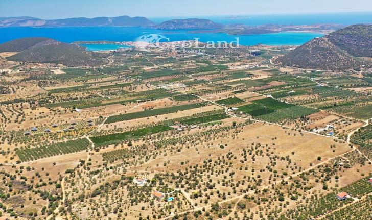 Αγροτεμάχια 115.000 τ.μ. για πώληση, Αργολίδα, Ερμιόνη