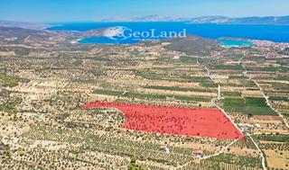 Αγροτεμάχια 115.000 τ.μ. για πώληση, Αργολίδα, Ερμιόνη-thumb-5