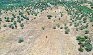 Αγροτεμάχια 115.000 τ.μ. για πώληση, Αργολίδα, Ερμιόνη-thumb-12