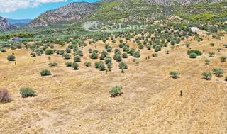 Αγροτεμάχια 115.000 τ.μ. για πώληση, Αργολίδα, Ερμιόνη-thumb-13