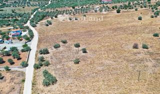 Αγροτεμάχια 115.000 τ.μ. για πώληση, Αργολίδα, Ερμιόνη-thumb-14