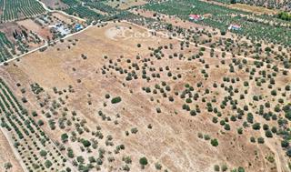 Αγροτεμάχια 115.000 τ.μ. για πώληση, Αργολίδα, Ερμιόνη-thumb-15