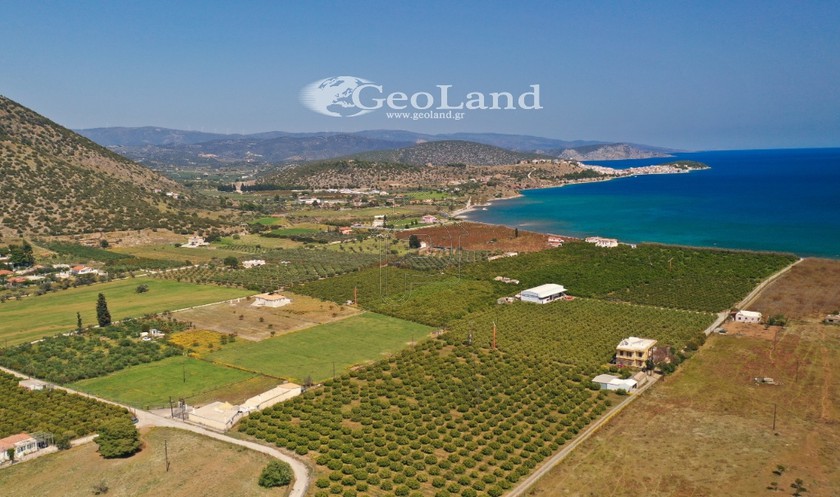 Parcel 12.800sqm for sale-Ermioni » Center
