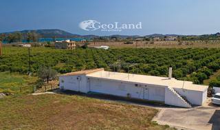 Αγροτεμάχια 12.800 τ.μ. για πώληση, Αργολίδα, Ερμιόνη-thumb-3