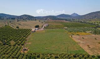 Αγροτεμάχια 12.800 τ.μ. για πώληση, Αργολίδα, Ερμιόνη-thumb-7