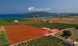 Αγροτεμάχια 12.800 τ.μ. για πώληση, Αργολίδα, Ερμιόνη-thumb-8