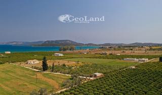 Αγροτεμάχια 12.800 τ.μ. για πώληση, Αργολίδα, Ερμιόνη-thumb-10