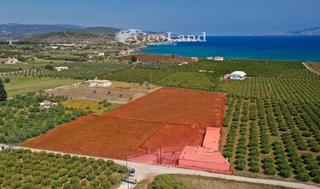 Αγροτεμάχια 12.800 τ.μ. για πώληση, Αργολίδα, Ερμιόνη-thumb-11