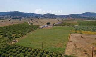 Αγροτεμάχια 12.800 τ.μ. για πώληση, Αργολίδα, Ερμιόνη-thumb-13