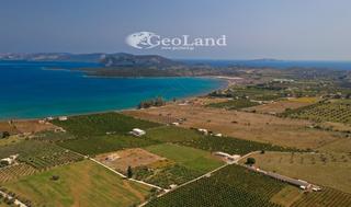 Αγροτεμάχια 12.800 τ.μ. για πώληση, Αργολίδα, Ερμιόνη-thumb-14
