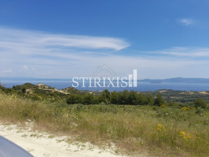 Αγροτεμάχια 16.000τ.μ. για πώληση-Παλλήνη » Αγία παρασκευή