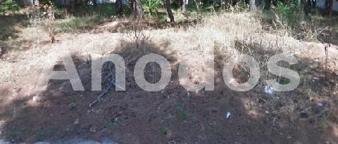 Οικόπεδο 800τ.μ. για πώληση-Διόνυσος » Κέντρο