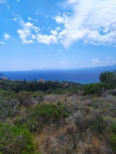 Land plot 42.264sqm for sale-Avia » Megali Mantineia