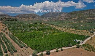 Αγροτεμάχια 62.277 τ.μ. για πώληση, Αργολίδα, Ερμιόνη-thumb-6