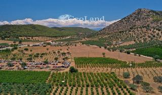 Αγροτεμάχια 62.277 τ.μ. για πώληση, Αργολίδα, Ερμιόνη-thumb-10