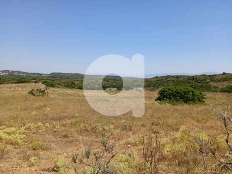 Parcel 21.000sqm for sale-Kythira » Aroniadika