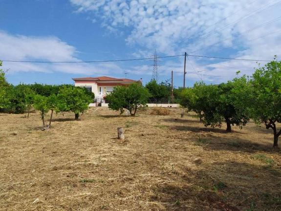 Οικόπεδο 1.300 τ.μ. για πώληση, Αχαΐα, Ακράτα