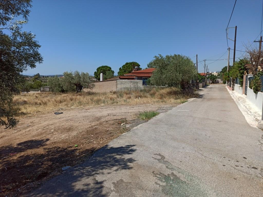 Οικόπεδο 1.823 τ.μ. πρός πώληση, Αττική - Υπόλοιπο, Νέα Πέραμος (μεγάλο Πεύκο)