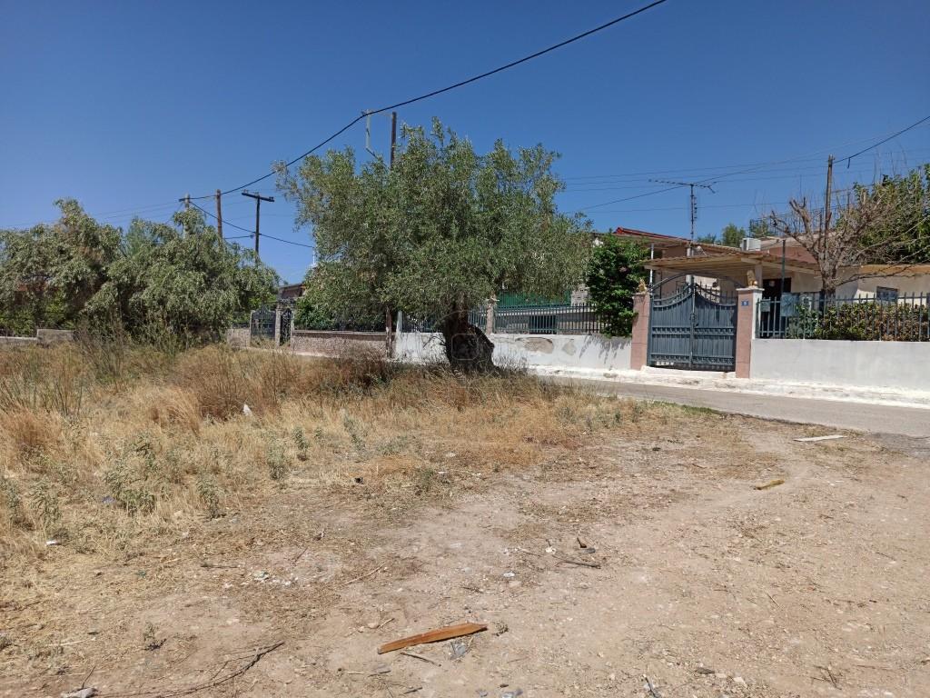 Οικόπεδο 1.823 τ.μ. πρός πώληση, Αττική - Υπόλοιπο, Νέα Πέραμος (μεγάλο Πεύκο)