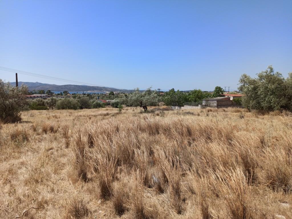 Οικόπεδο 1.823 τ.μ. πρός πώληση, Αττική - Υπόλοιπο, Νέα Πέραμος (μεγάλο Πεύκο)