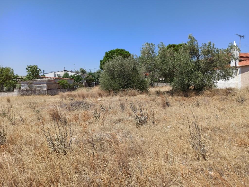 Οικόπεδο 1.823 τ.μ. πρός πώληση, Αττική - Υπόλοιπο, Νέα Πέραμος (μεγάλο Πεύκο)