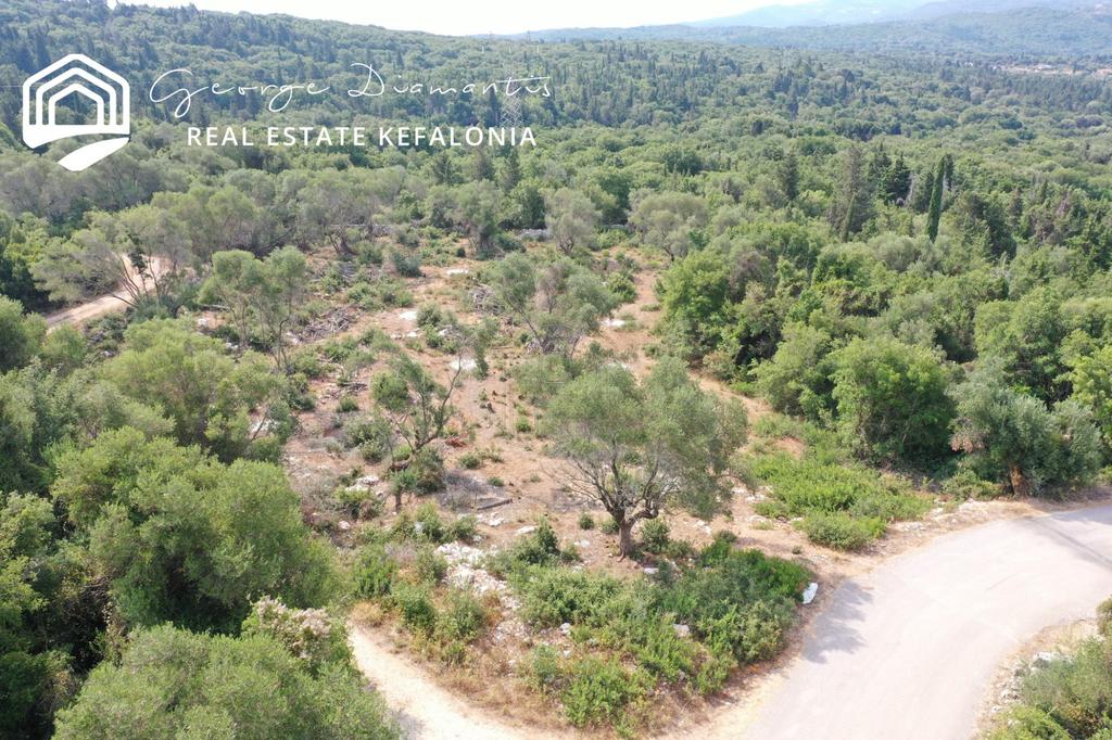 Οικόπεδο 3.130 τ.μ. πρός πώληση, Ν. Κεφαλονιάς, Κεφαλονιά