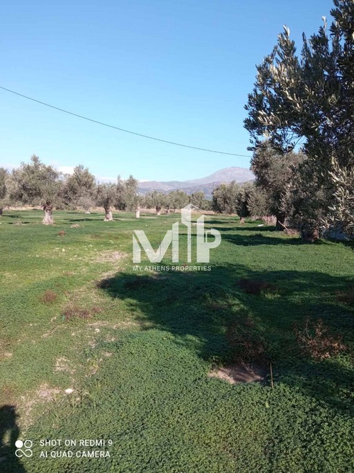 Parcel 13.965 sqm for sale
