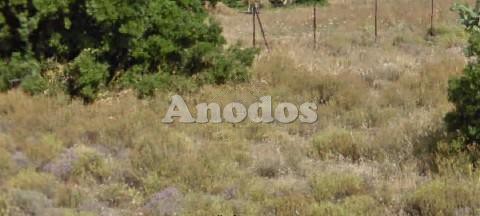 Οικόπεδο 427τ.μ. για πώληση-Γλυκά νερά » Κέντρο