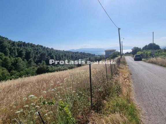 Αγροτεμάχια 4.968,22 τ.μ. για πώληση, Εύβοια, Λιχάδα