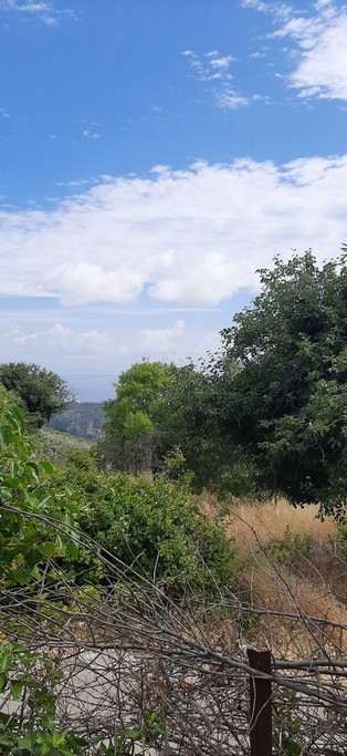 Οικόπεδο 220 τ.μ. για πώληση