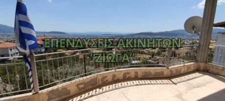Detached home 390sqm for sale-Nea Ionia Volou » Melissatika