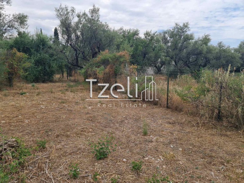Οικόπεδο 2.000 τ.μ. για πώληση