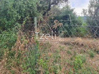Οικόπεδο 2.000 τ.μ. για πώληση, Αχαΐα, Μεσσατίδα-thumb-23