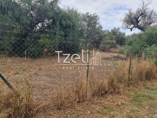 Οικόπεδο 527 τ.μ. για πώληση, Αχαΐα, Μεσσατίδα-thumb-4