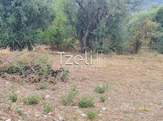 Οικόπεδο 527 τ.μ. για πώληση, Αχαΐα, Μεσσατίδα-thumb-5