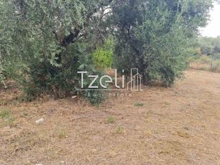 Οικόπεδο 527 τ.μ. για πώληση, Αχαΐα, Μεσσατίδα-thumb-17