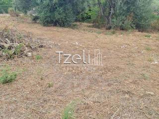 Οικόπεδο 527 τ.μ. για πώληση, Αχαΐα, Μεσσατίδα-thumb-21