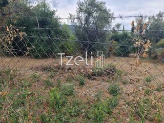 Οικόπεδο 527 τ.μ. για πώληση, Αχαΐα, Μεσσατίδα-thumb-27