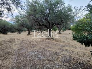 Αγροτεμάχια 10.522 τ.μ. για πώληση, Αχαΐα, Ρίο-thumb-3
