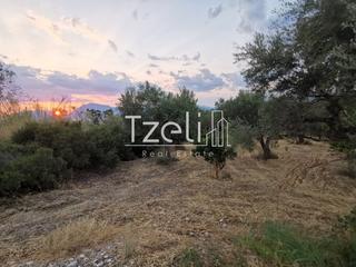 Αγροτεμάχια 10.522 τ.μ. για πώληση, Αχαΐα, Ρίο-thumb-7