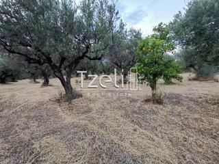 Αγροτεμάχια 10.522 τ.μ. για πώληση, Αχαΐα, Ρίο-thumb-18