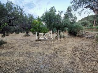 Αγροτεμάχια 10.522 τ.μ. για πώληση, Αχαΐα, Ρίο-thumb-20