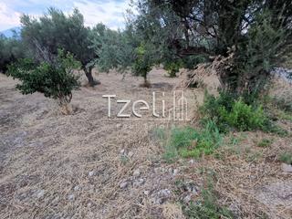 Αγροτεμάχια 10.522 τ.μ. για πώληση, Αχαΐα, Ρίο-thumb-24