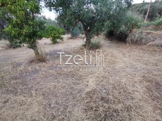 Αγροτεμάχια 10.522 τ.μ. για πώληση, Αχαΐα, Ρίο-thumb-28