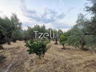 Αγροτεμάχια 10.522 τ.μ. για πώληση, Αχαΐα, Ρίο-thumb-29