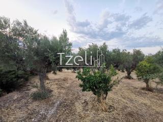 Αγροτεμάχια 10.522 τ.μ. για πώληση, Αχαΐα, Ρίο-thumb-31