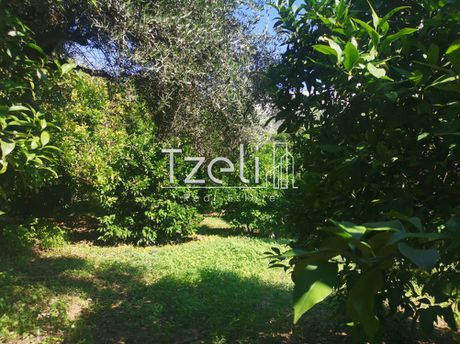 Land plot 539sqm for sale-Vrachneika » Monodendri