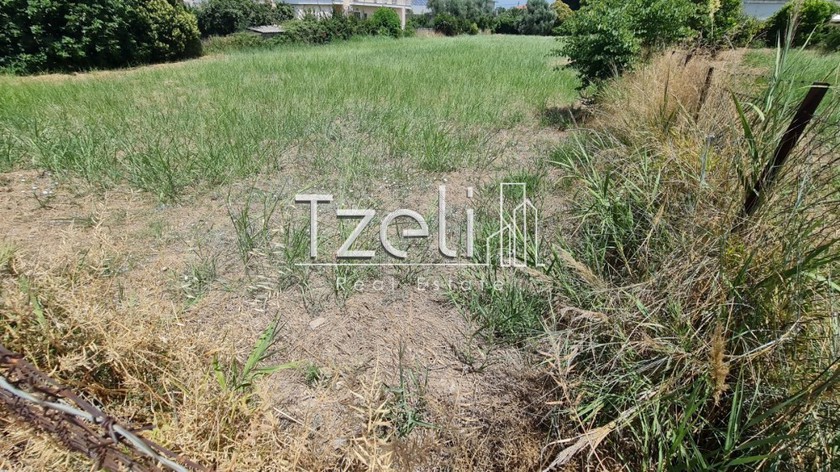 Land plot 400 sqm for sale