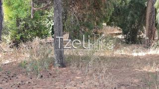 Οικόπεδο 400 τ.μ. για πώληση, Αχαΐα, Ρίο-thumb-12